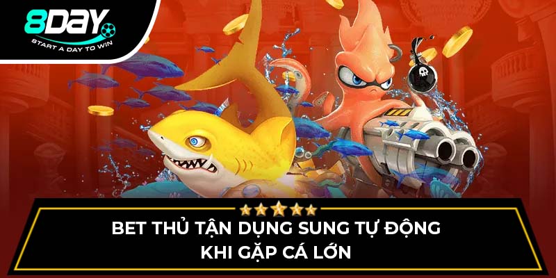 Bet thủ tận dụng sung tự động khi gặp cá lớn