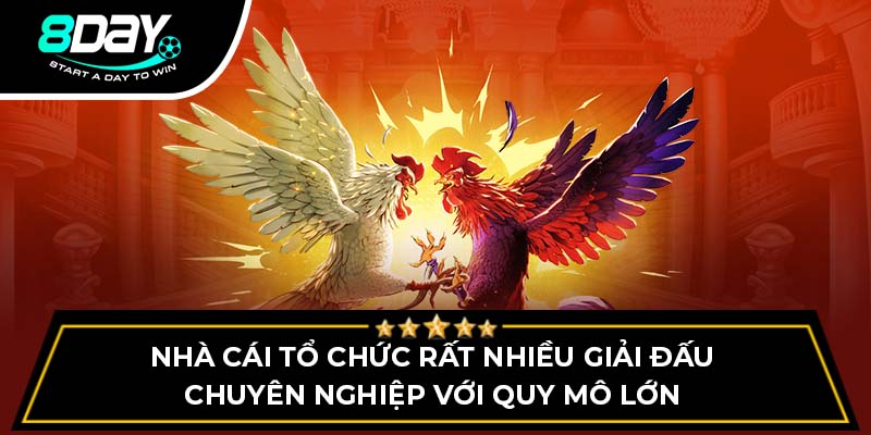 Nhà cái tổ chức rất nhiều giải đấu chuyên nghiệp với quy mô lớn Nhà cái tổ chức rất nhiều giải đấu chuyên nghiệp với quy mô lớn