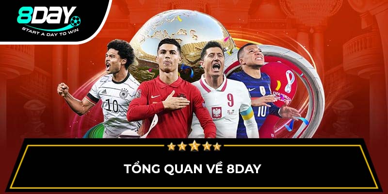 Tổng quan về 8DAY